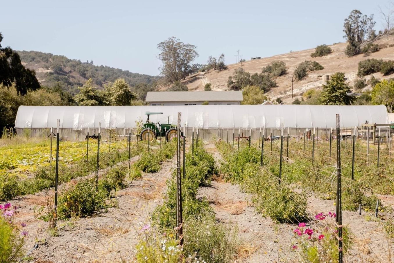 Wild Hair Studio-Stylish Farm Stay W Ev Charger Arroyo Grande Eksteriør bilde